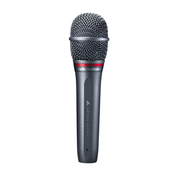Audio-Technica AE6100 – Profesjonalny mikrofon dynamiczny hiperkardioidalny